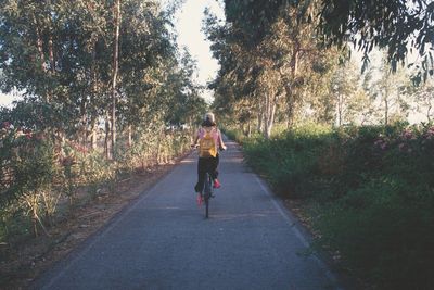 Rear view of man riding bicycle on road