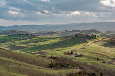 Scenic view of agricultural field against sky