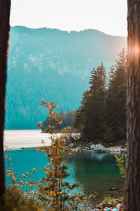 Scenic view of lake by trees against sky