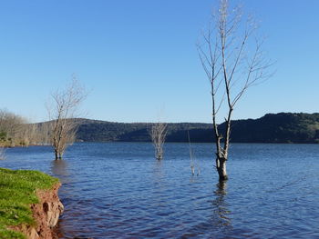 Scenic view of lake against clear blue sky