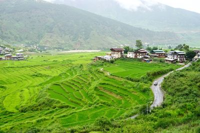 Scenic view of agricultural field and houses against mountains