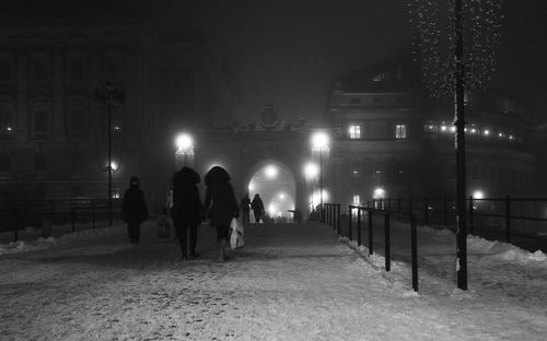 Rear view of men walking on illuminated street at night