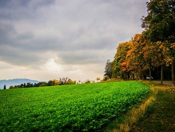 Scenic view of grassy field against cloudy sky