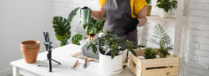 Midsection of woman holding potted plant on table at home