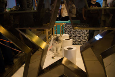 Close-up of cat by tissue paper on table seen through star shape