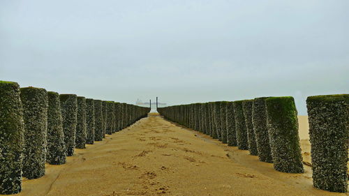 Panoramic view of empty road against sky