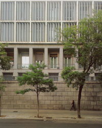 Plants growing in front of building