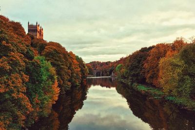 Reflection of trees in river against sky