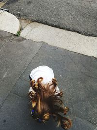 High angle view of woman with dog on street