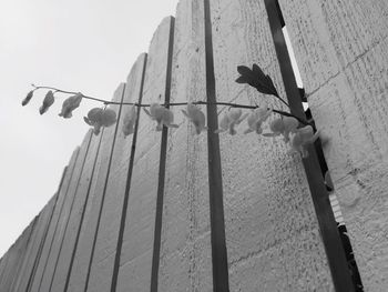 Low angle view of built structure