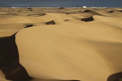 Close-up of sand dunes at beach