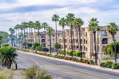 Road by palm trees and buildings against sky