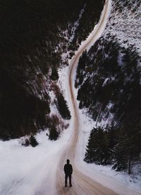 Full length of horse on snow covered landscape