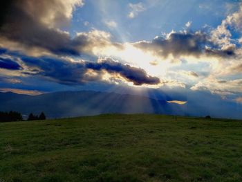 Scenic view of field against sky