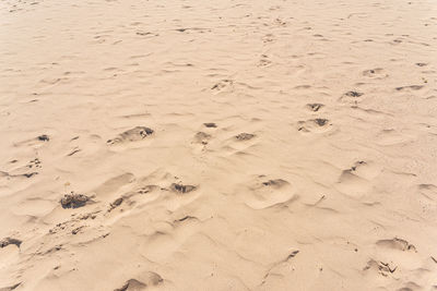 High angle view of footprints on sand at beach