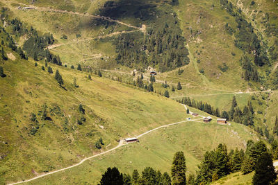 High angle view of road amidst trees