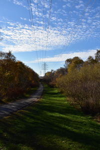 Trees on field against sky