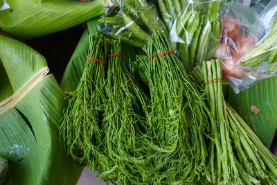 High angle view of fresh green leaves