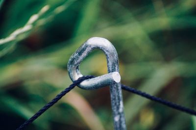 Close-up of metal fence against blurred background