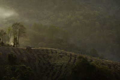 Scenic view of landscape