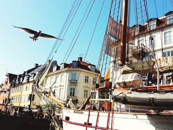 Low angle view of birds flying against clear sky