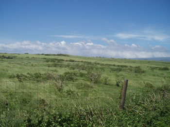 Scenic view of landscape against sky