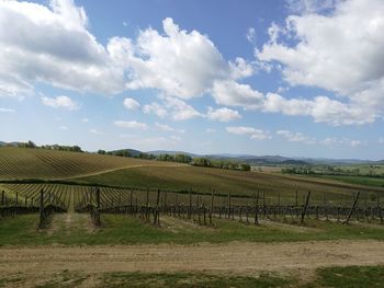 Scenic view of agricultural field against sky