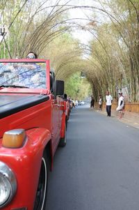 Cars parked on road