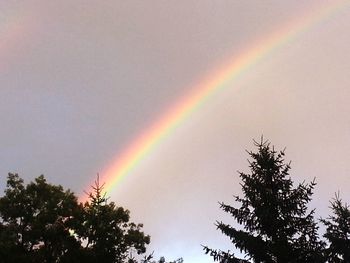 Low angle view of rainbow over trees