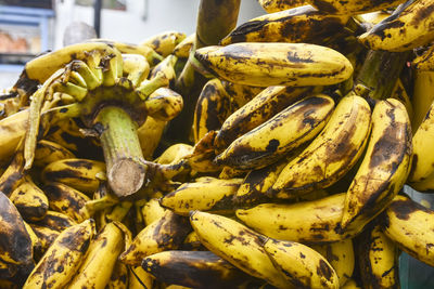 Close-up of bananas