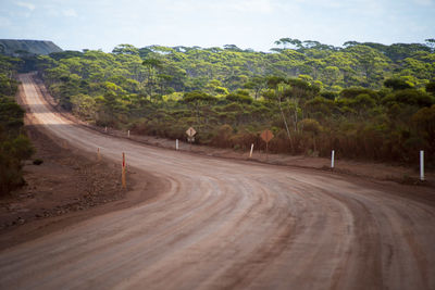 People walking on road