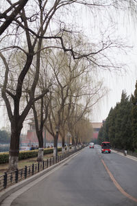 Road passing through trees