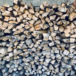 Full frame shot of logs in forest