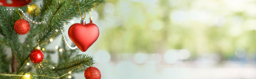 Close-up of christmas decoration hanging on tree