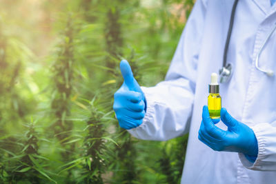 Blue hand holding bottle with plants
