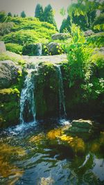 Scenic view of waterfall in forest