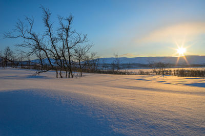 Bare trees on snow field against sky during sunset