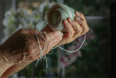 Close-up of hand holding leaf outdoors