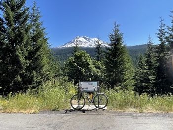 transportation