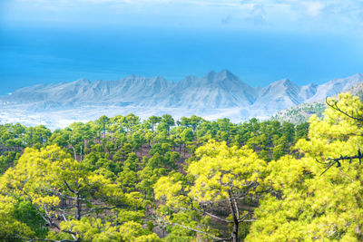 Scenic view of trees and mountains against sky