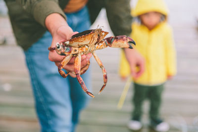 Midsection of man holding crab while standing by son