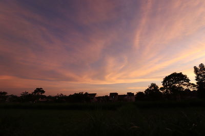 Silhouette trees on field against sky at sunset