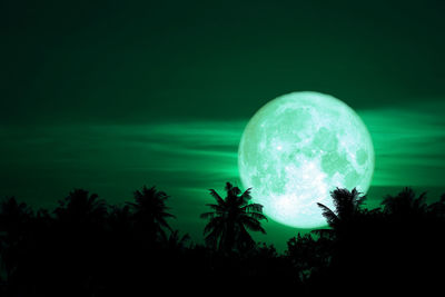 Close-up of silhouette trees against sky at night