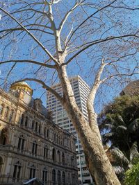 Low angle view of trees and buildings against sky