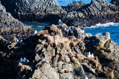 Panoramic view of rocks on beach