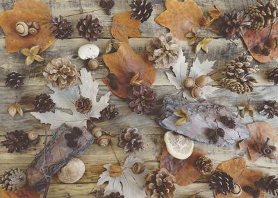 High angle view of dry leaves on table