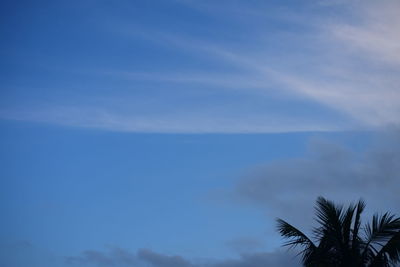 Low angle view of silhouette palm trees against blue sky