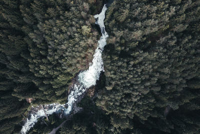 Aerial view of waterfall amidst trees