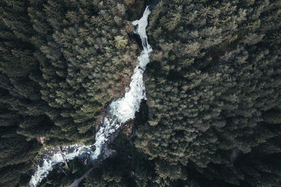 Close-up of waterfall in forest
