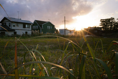 Houses against sky during sunset